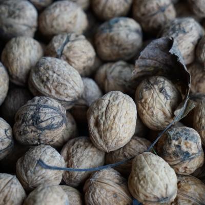 Baumnüsse zu Hunderten in Kistchen