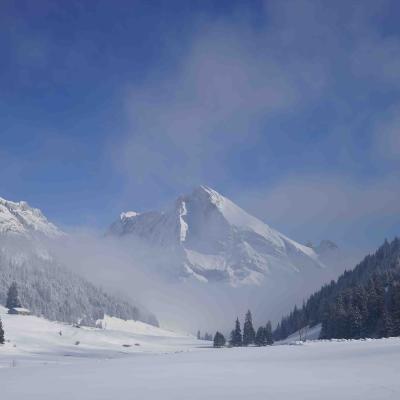 Schafberg vom Nebel umwallt