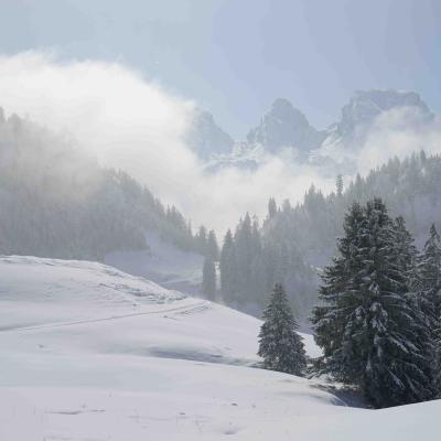 die Churfirsten steigen aus den Wolken empor