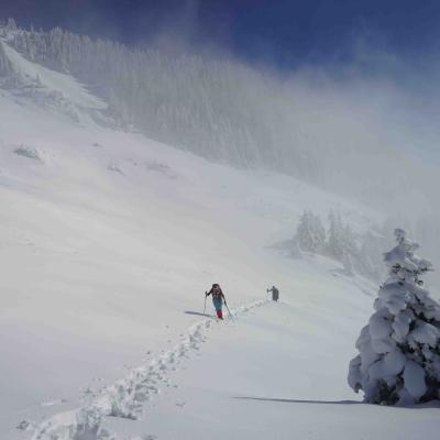 noch einmal zäher Nebel vor dem Windenpass... den Wegweiser finden wir sensationell