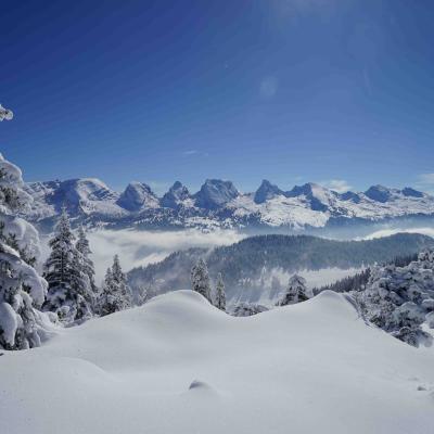 wunderschöner Ausblick Richtung Churfirsten