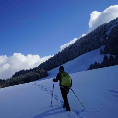 unterwegs bei der Kellenhalde