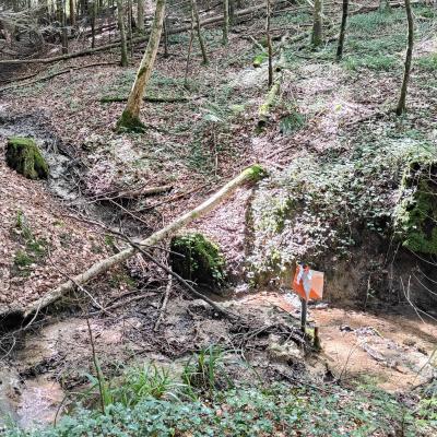 verschiedene Bäche am unteren Ende des Biessenhofer Waldes 