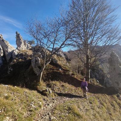 zwischen diesen Zähnen haben wir den Weg gefunden