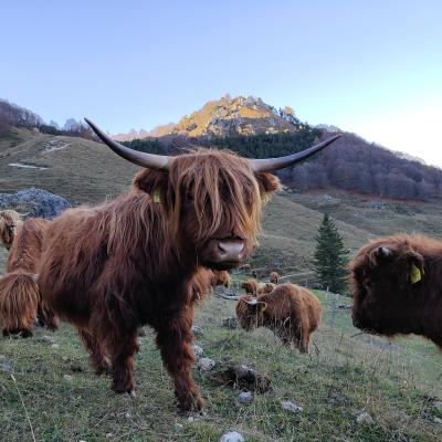 gesellig und gemütlich