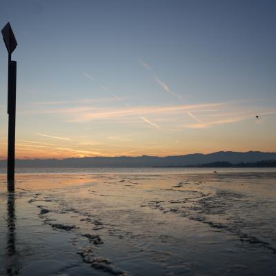 dank der Windstille erste Eisschollen auf dem See