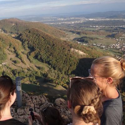 zwischen Baselland und Mittelland